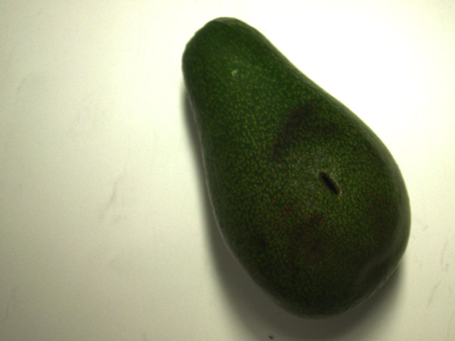 Colour image Avocado