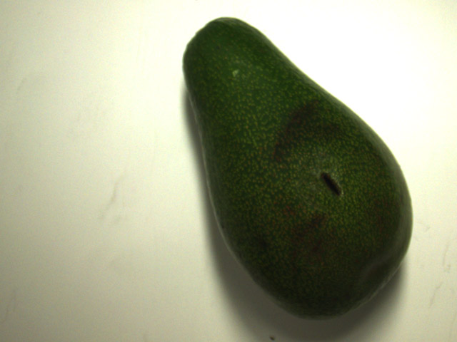 Farbaufnahme Avocado
